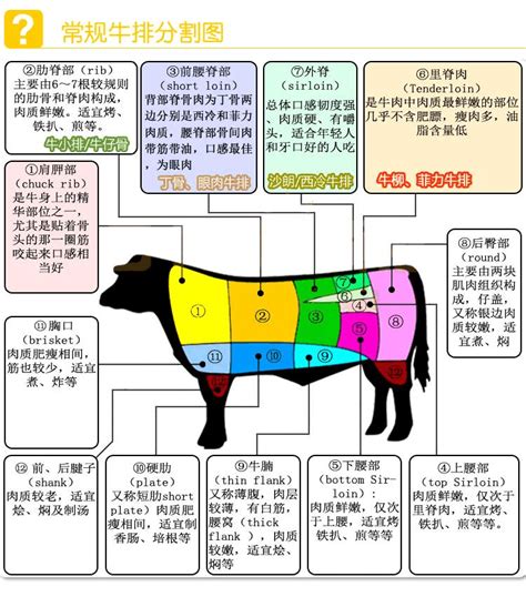 牛肉位置|牛排–牛肉各部位名称图解